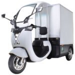 Roadmaster T-5000 Electric Cargo Delivery Scooter Truck