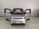 Enclosed three-seater electric mobility scooter four wheels – RoadMaster X-1200