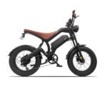 Avalon bike
