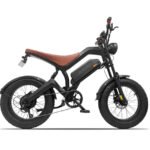 Avalon bike