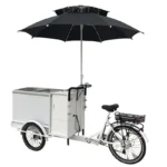 ELECTRIC ICE CREAM TRICYCLE with the optional 1500 Watts Power