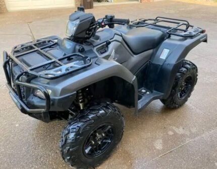 2019 Honda  Rubicon Deluxe 4×4